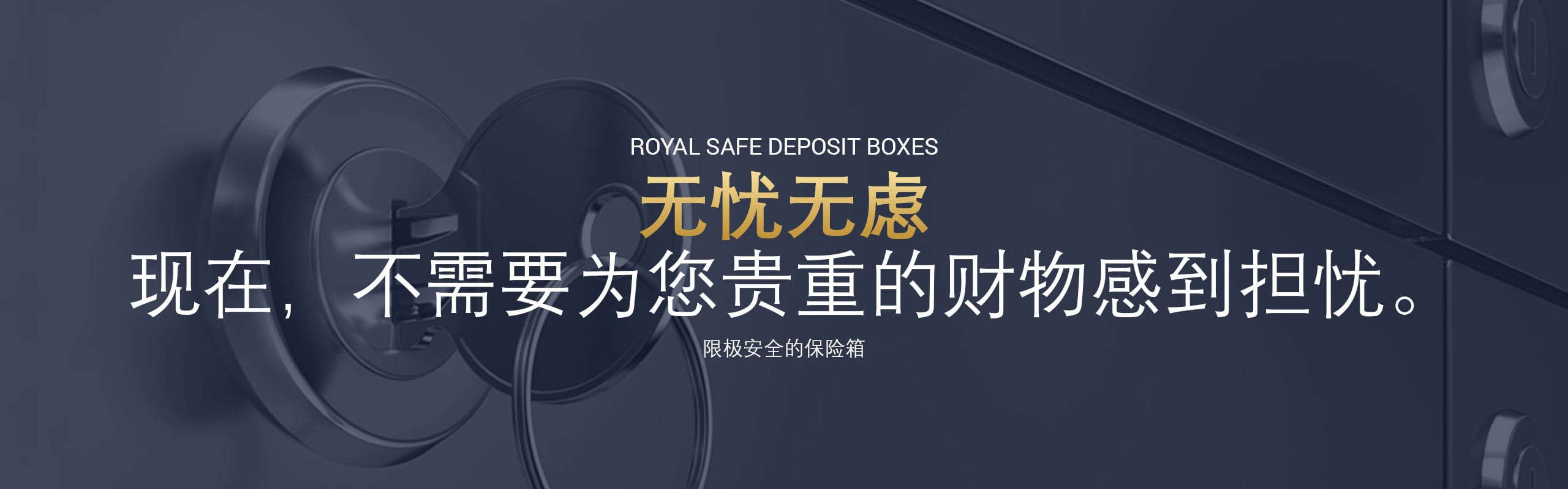 RSDB-Chinese-Main-Banner-Design-min